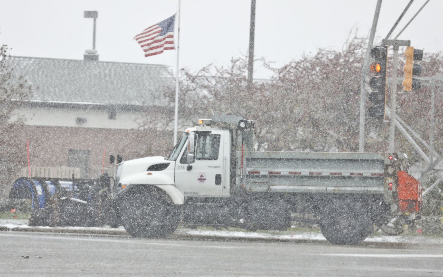 snow 111 11.11.19.JPG